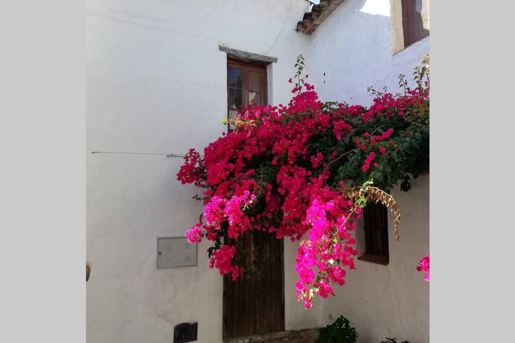 Casa En Fortaleza Medieval Castellar de la Frontera Esterno foto